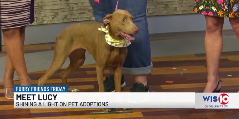 Furry Friends Friday: Lucy - WIS News 10