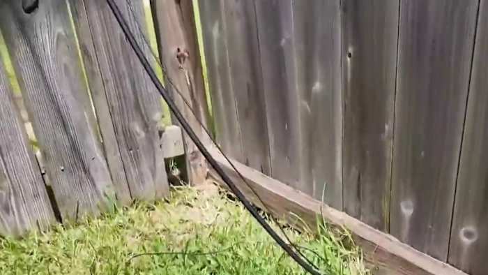 Disappearing Act: After failed calls, Houston woman calls 2 Helps You and gets backyard nuisance removed days later - Click2Houston