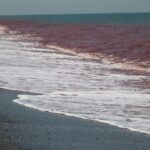Stranded seafarers remain trapped as Hormuz shipping stalls - UN News