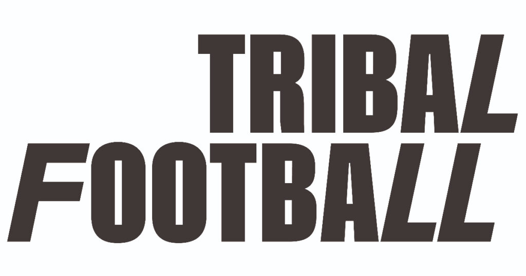 Bilic makes Modric his first priority as Croatia boss - TribalFootball