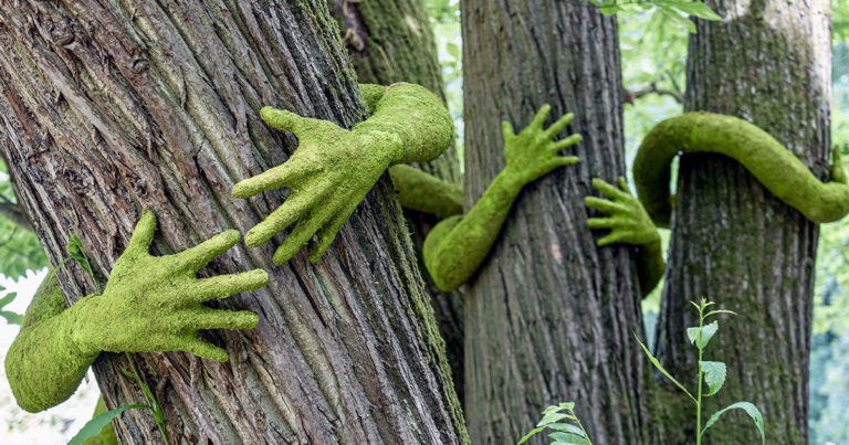have you ever hugged a tree? monsieur plant wraps sculptural human arms around trees - Designboom