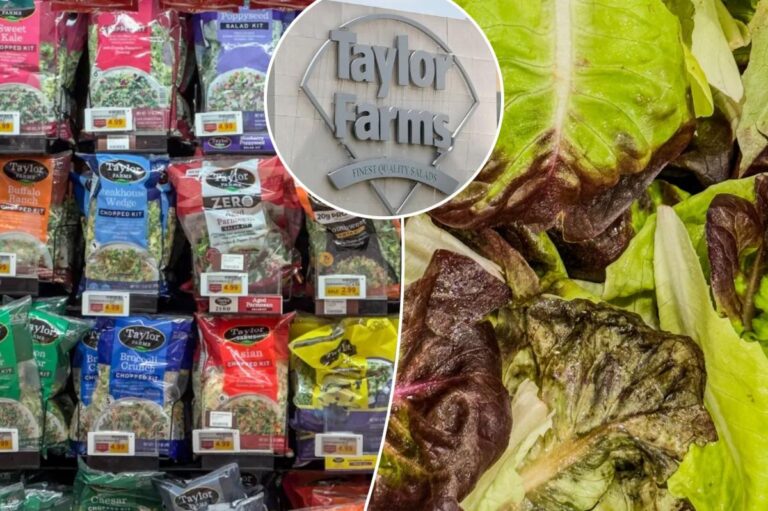 Can we eat lettuce again? The truth about salad risk amid ‘explosive diarrhea’ parasite outbreak - New York Post