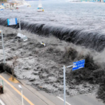 Japan's 2011 megaquake sent a seismic wave nearly 2,900 km to Earth's core, which returned 13 minutes lat - The Times of India