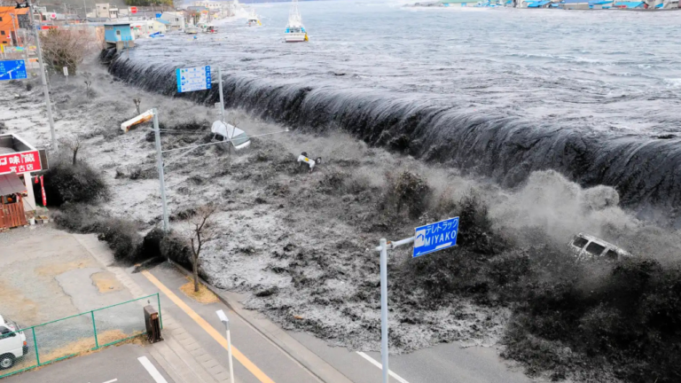 Japan's 2011 megaquake sent a seismic wave nearly 2,900 km to Earth's core, which returned 13 minutes lat - The Times of India