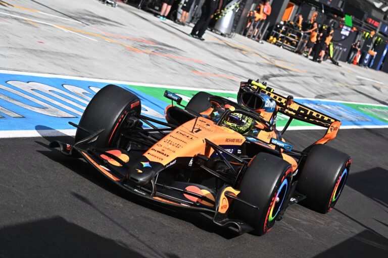 Norris snatches pole from Hamilton at Hungarian Grand Prix - Manistee News Advocate