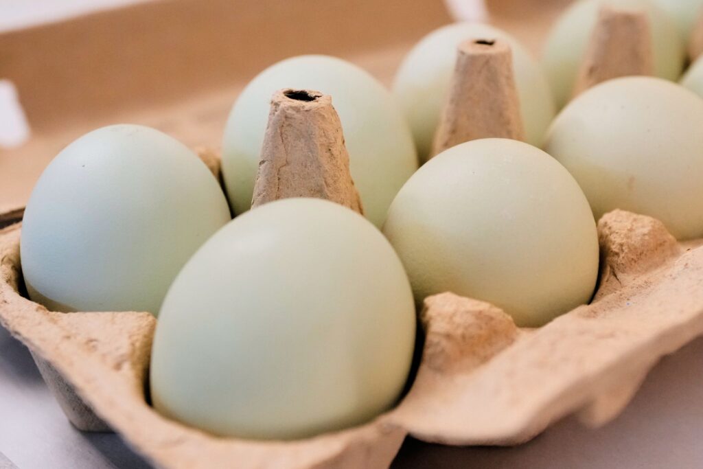 Salmonella outbreak tied to eggs has sickened 98 people since November - San Antonio Express-News