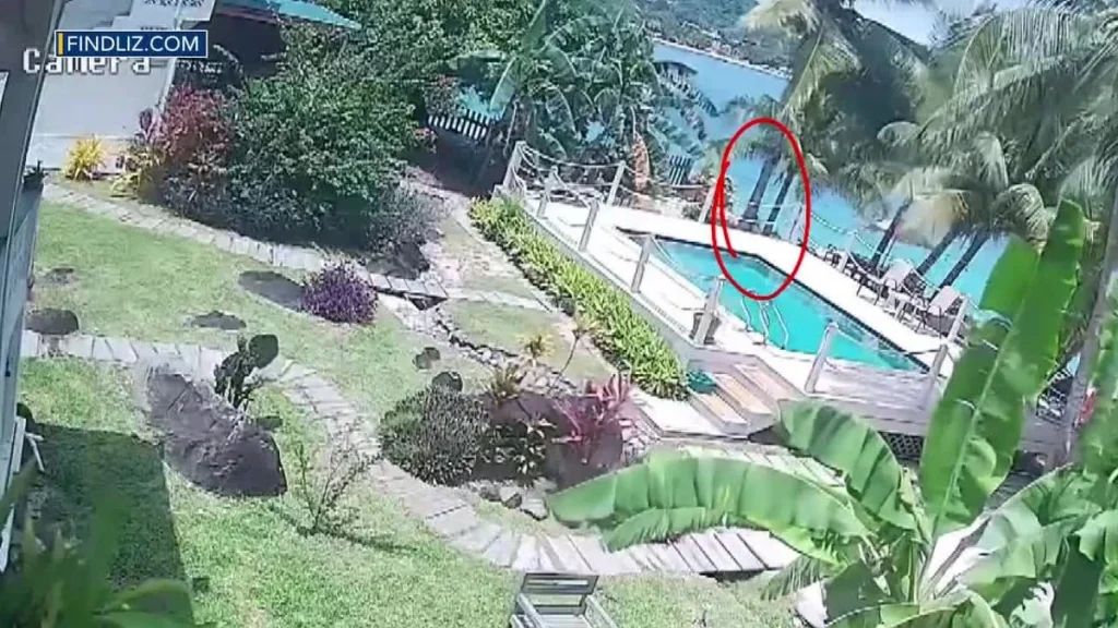 Elizabeth Waddell Search video shows Grenada water entry before disappearance - El-Balad.com