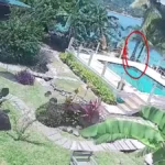 Elizabeth Waddell Search video shows Grenada water entry before disappearance - El-Balad.com