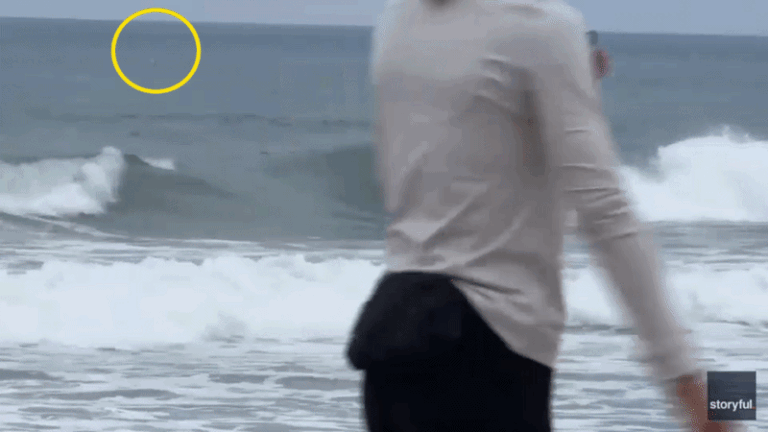 Shark Week shocker as great white breaches just yards from oblivious boogie boarder - Fox News