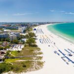 Two charged with spreading mothballs in shorebird nesting area on St. Pete Beach - WUSF