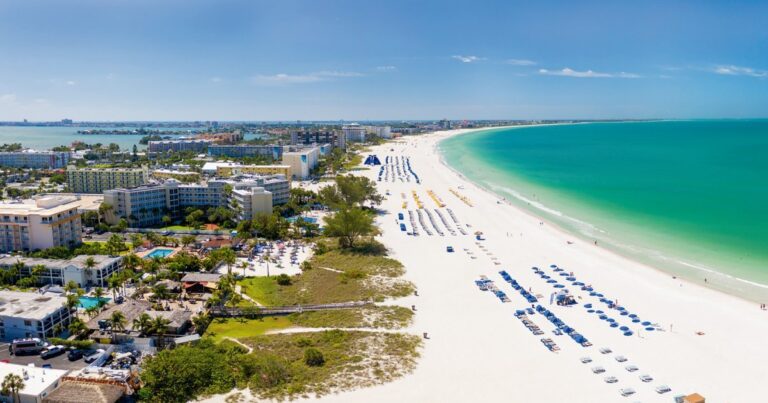 Two charged with spreading mothballs in shorebird nesting area on St. Pete Beach - WUSF