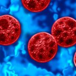 Carolina Curious: What defines an outbreak of cyclosporiasis? - 88.5 WFDD