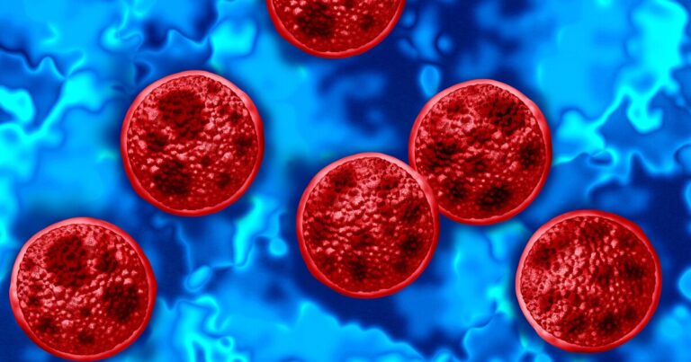 Carolina Curious: What defines an outbreak of cyclosporiasis? - 88.5 WFDD