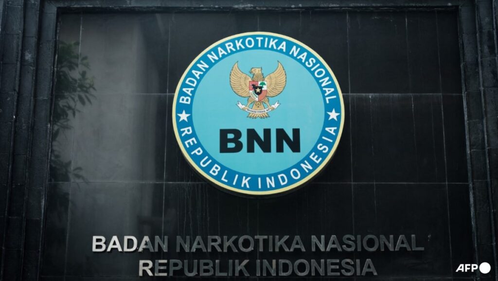 Indonesia seizes 2.6 tonnes of meth in major bust - CNA