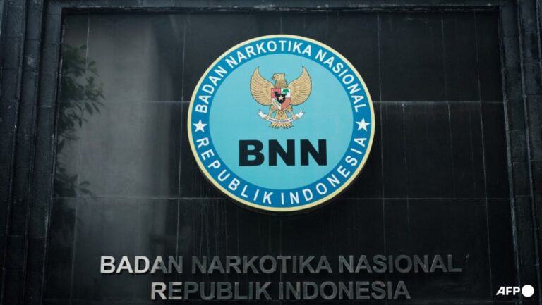 Indonesia seizes 2.6 tonnes of meth in major bust - CNA