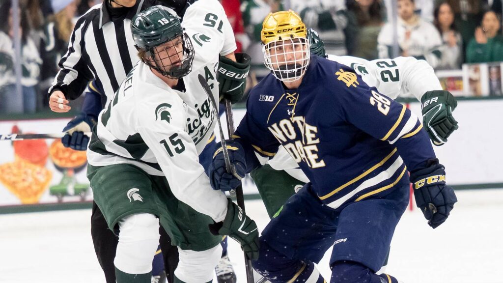 Red Wings flip future considerations for Predators prospect - Octopus Thrower