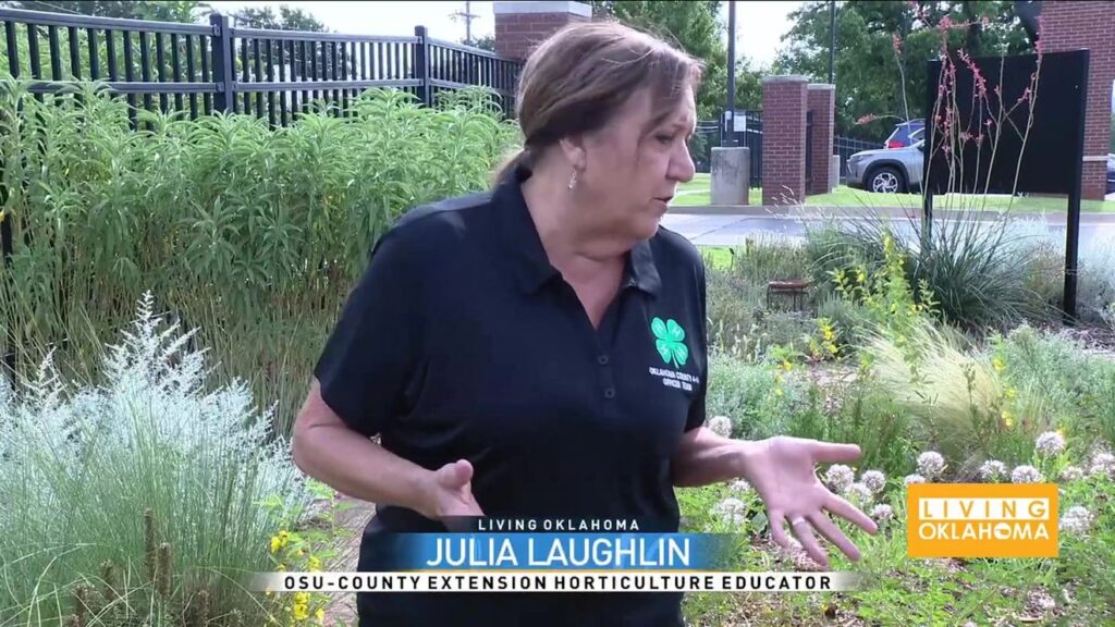 Growing OK: How to save your garden from extreme heat - KOKH