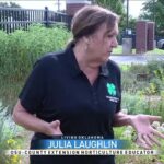 Growing OK: How to save your garden from extreme heat - KOKH