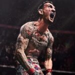 EA UFC 6 Update: UFC 330 Content, 2 New Fighters And Gameplay Changes - Forbes