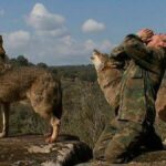 Raised in the wild: Spain's famous "wolf boy" dies - Euronews.com