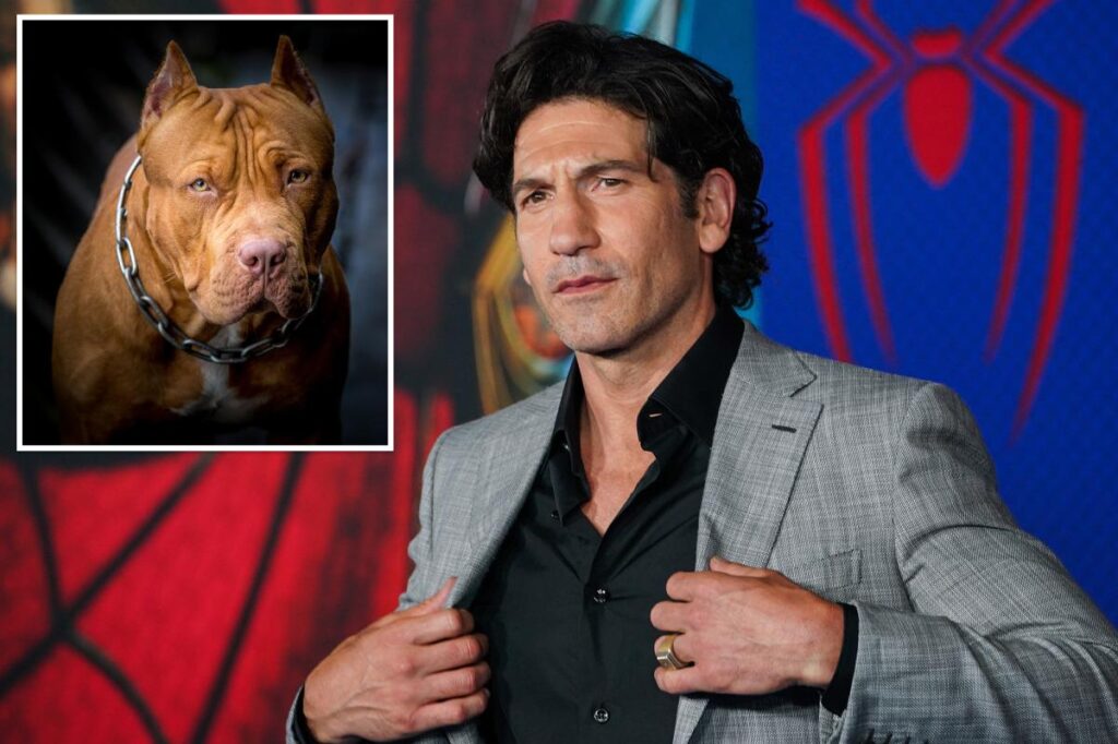 ‘Punisher’ star says pit bulls are victims of ‘dog racism’: ‘A lot of bulls–t’ - New York Post
