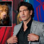 ‘Punisher’ star says pit bulls are victims of ‘dog racism’: ‘A lot of bulls–t’ - New York Post