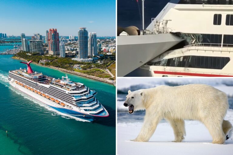 Ship happens! Pirates, pot, polar bears and other cruise chaos on the high seas - New York Post