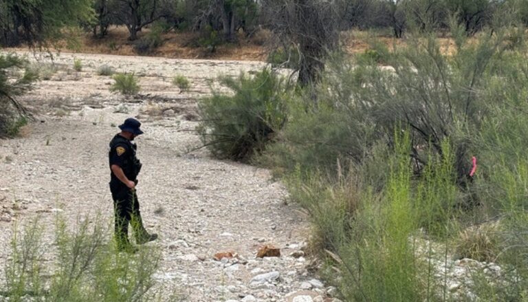 Human remains found near Tucson amid Nancy Guthrie investigation - The News International