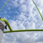 College Football Picks: Memphis vs. UNLV (Saturday) - BettingPros