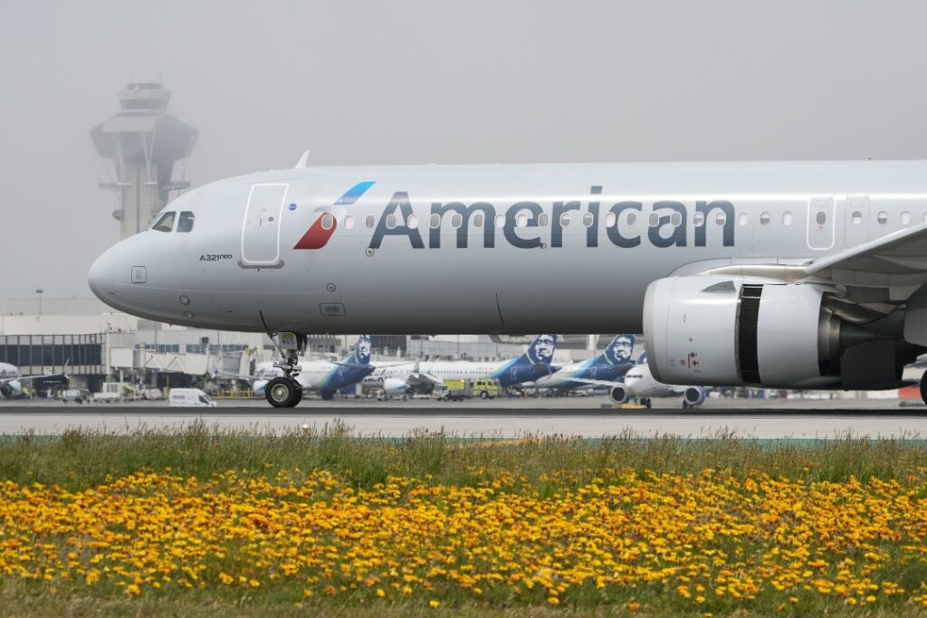Bird Strike Results in Flames, U-Turn of Jet - Newser