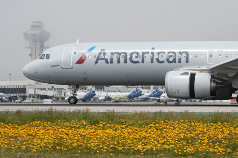 Bird Strike Results in Flames, U-Turn of Jet - Newser