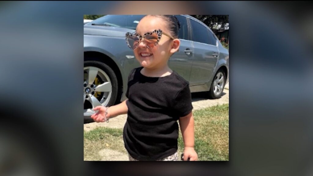 Aryana Trevino Martinez: Missing 2-year-old girl found dead near San Antonio home after Amber Alert issued - ABC7 Los Angeles