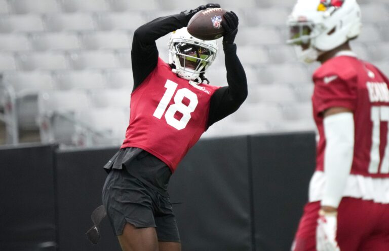 Grok simulates the Arizona Cardinals’ 2026 NFL season, including game-by-game results, playoff predictions, and more - A to Z Sports