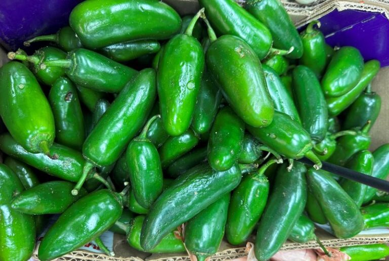 Whole Foods recalls items containing jalapenos on potential salmonella contamination - 102.7 WBOW