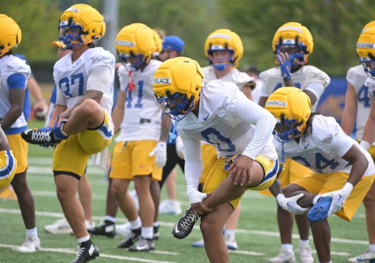 'We're all ready for it': Pitt's linebackers are embracing a world without Kyle Louis and Rasheem Biles - Pittsburgh Post-Gazette
