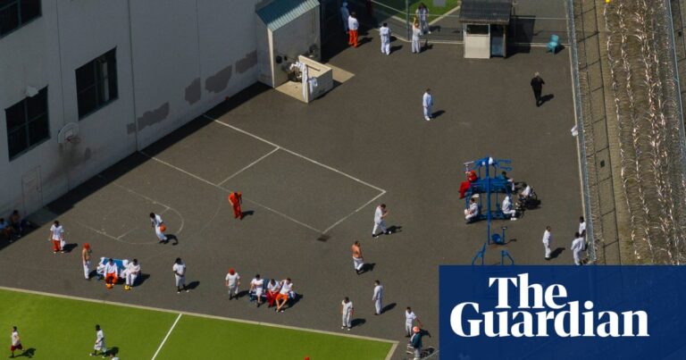 ‘Stark example of brutality’: Trump’s ICE used court orders in plan to force-feed at least 10 hunger strikers in detention - The Guardian