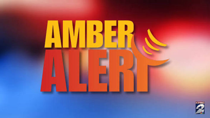 Abducted children in danger - Classic City News