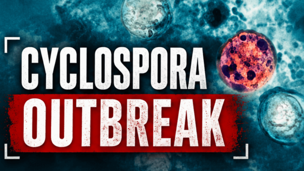 Cyclospora cases surge past 10,000 nationwide; Florida reports at least 168 - KATU