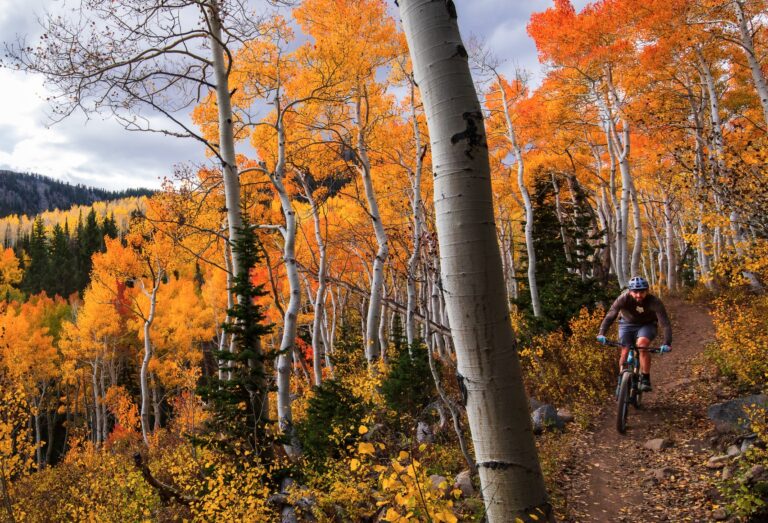 Everyone's talking about a 'super El Niño' winter, but how will it affect Utah's fall? - KSL.com