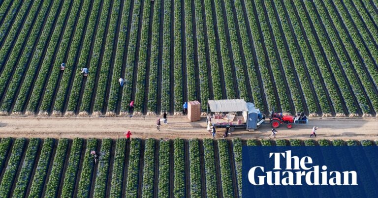 California bans paraquat, highly toxic herbicide outlawed in more than 70 countries - The Guardian