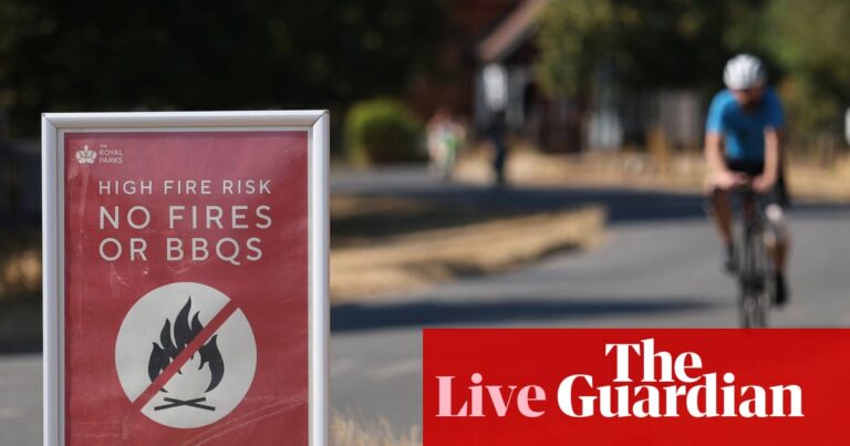 UK heatwave live: Burnham considers ban on disposable barbecues to prevent wildfires - The Guardian