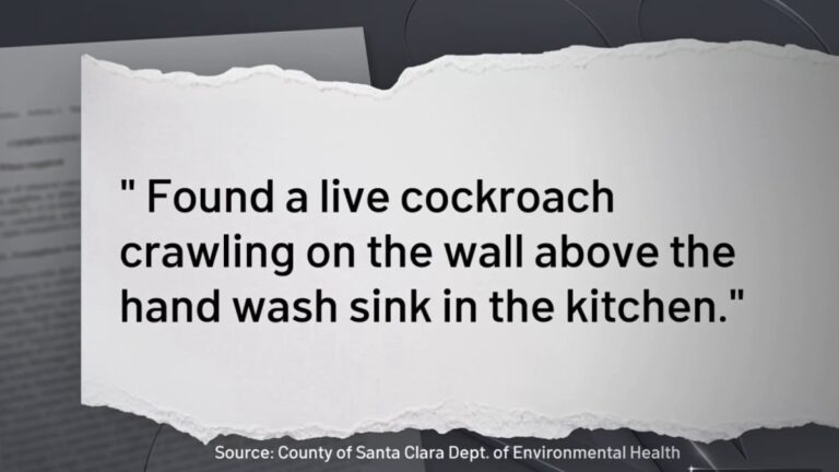 Terra restaurant inside San Jose's Eataly closes due to vermin contamination, officials say - NBC Bay Area