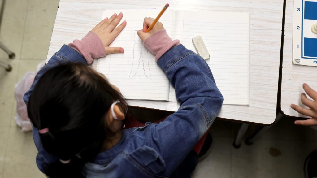 Anoka-Hennepin school board divided over new state social studies standards - MPR News