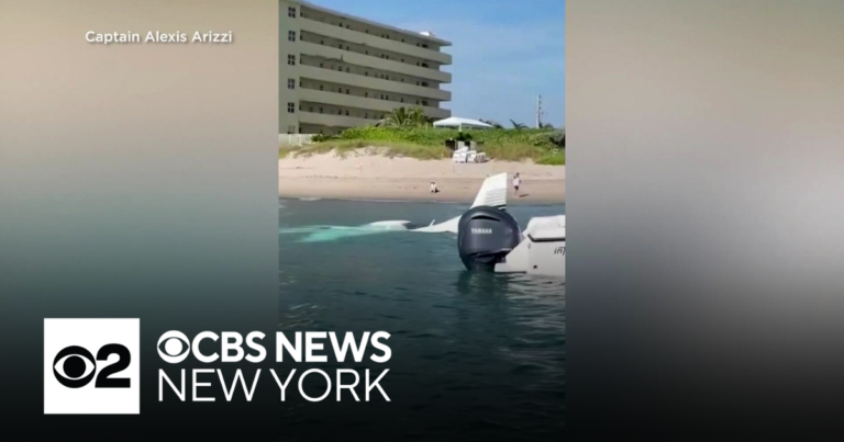 Young pilot makes emergency landing in water off Florida beach - CBS News