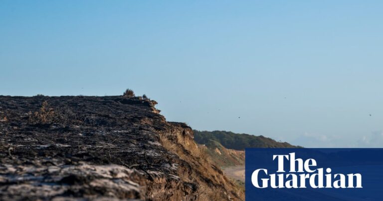‘These are human fires, not wildfires’: Dunwich reflects on the devastation - The Guardian