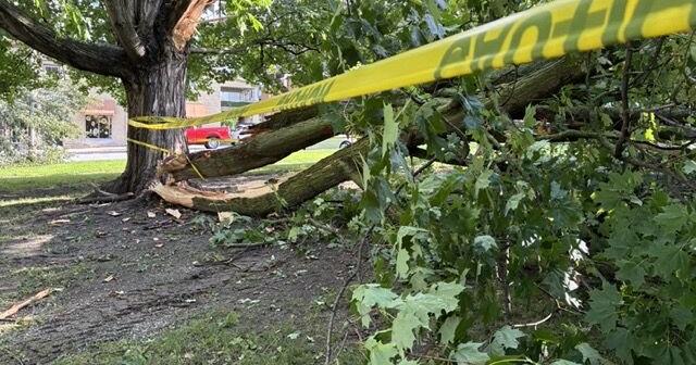 Public work crews out clearing debris, National Weather Service gathering reported impacts following last night’s storm - St. Albans Messenger