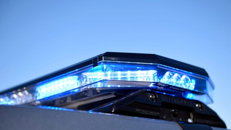 Florida deputies capture murder suspect with alleged ties to Athens - Online Athens
