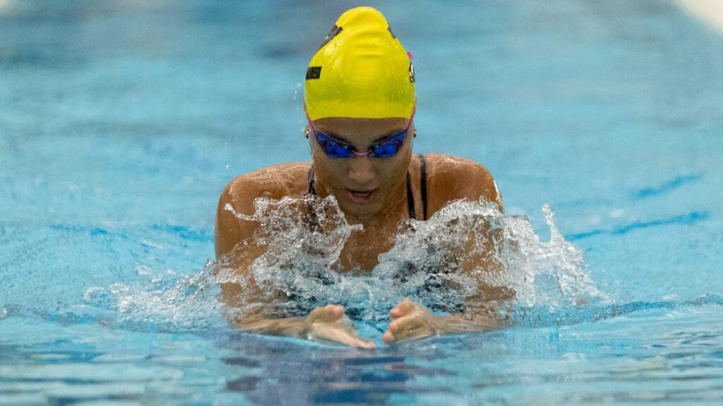 Meet the high school girls swimmers, divers to watch this year in the Holland area - The Holland Sentinel