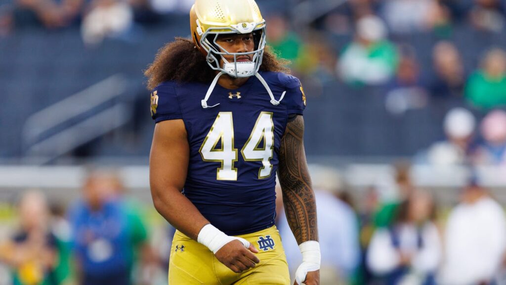 LSU football adding Notre Dame transfer Junior Tuihalamaka after TRO - Houma Today