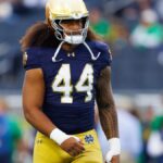 LSU football adding Notre Dame transfer Junior Tuihalamaka after TRO - Houma Today